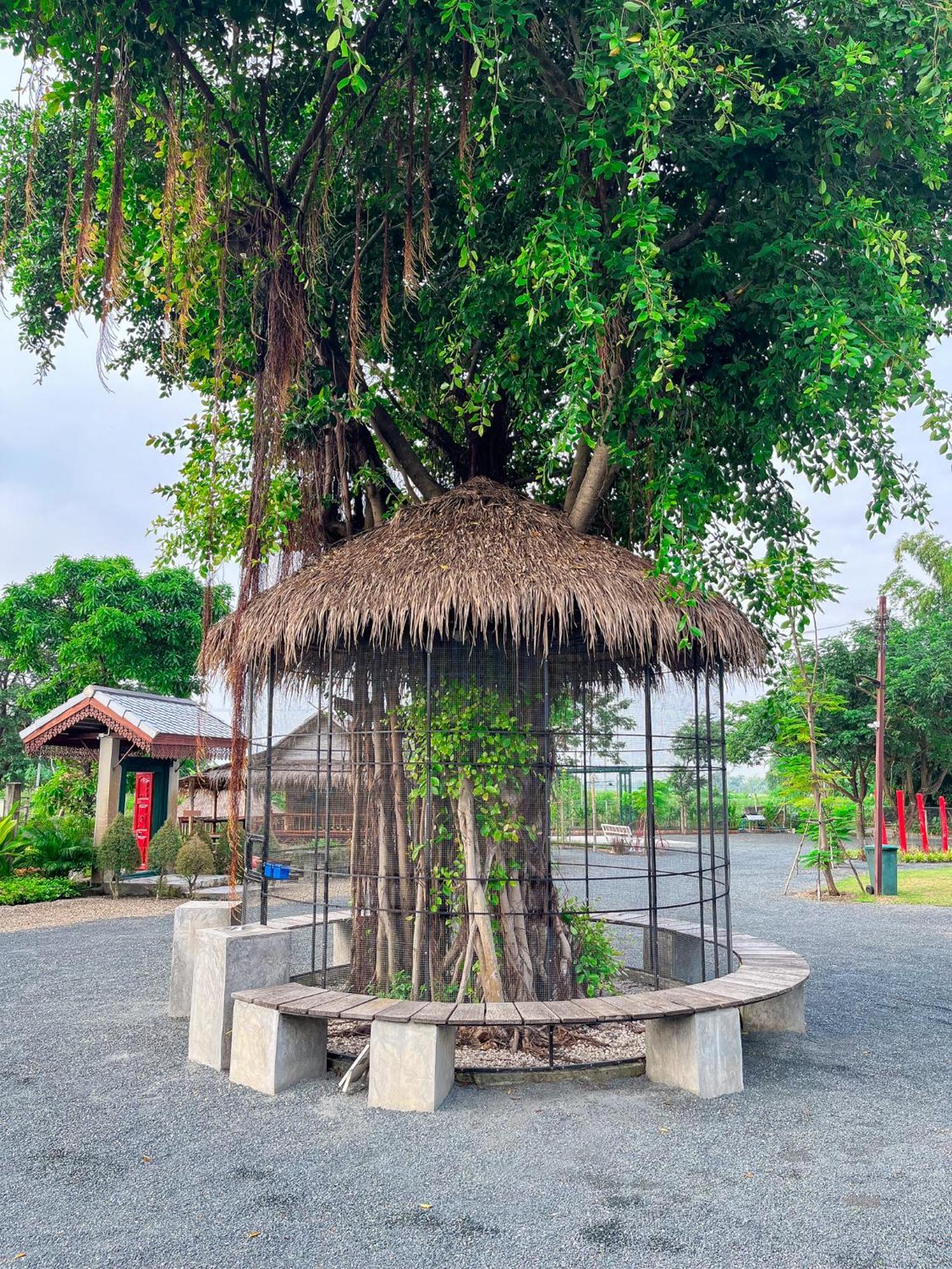 North Pine Forest Homestay บ้านไม้สนโฮมสเตย์ Ban Mae Pong Exterior foto