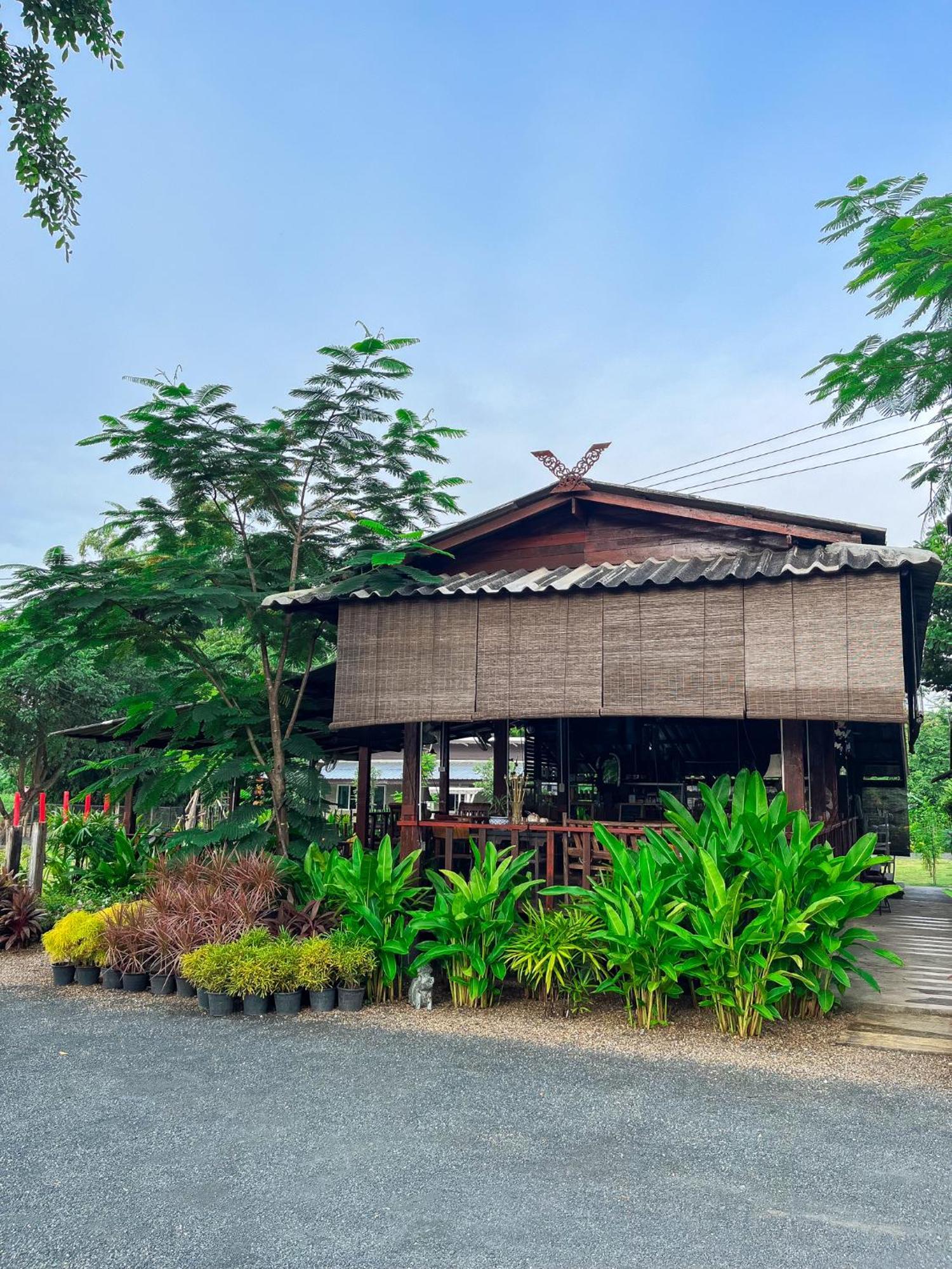 North Pine Forest Homestay บ้านไม้สนโฮมสเตย์ Ban Mae Pong Exterior foto