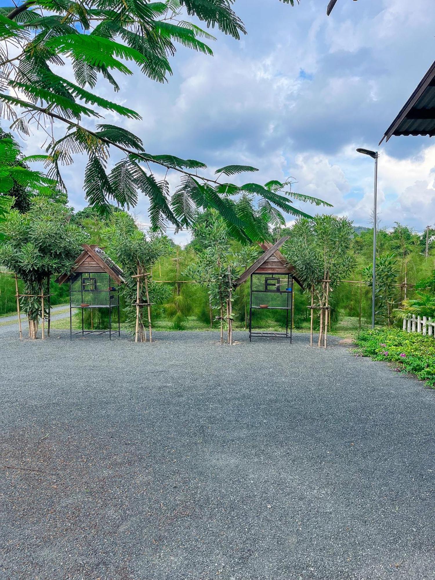 North Pine Forest Homestay บ้านไม้สนโฮมสเตย์ Ban Mae Pong Exterior foto