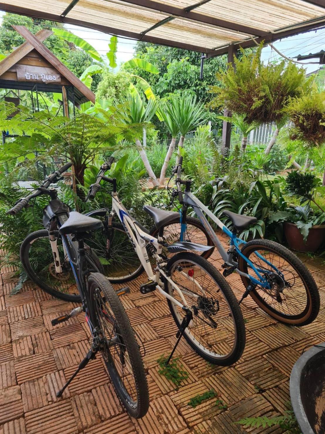 North Pine Forest Homestay บ้านไม้สนโฮมสเตย์ Ban Mae Pong Exterior foto